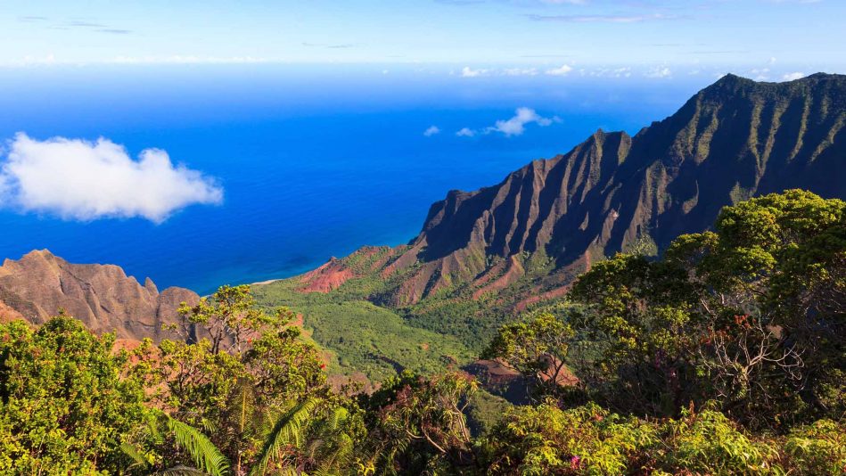 Kokee State Park - A Kauai Treasure - Kauai Vacation Rentals