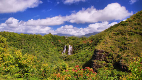 Opaekaa Falls, one of the top things to see in Kauai