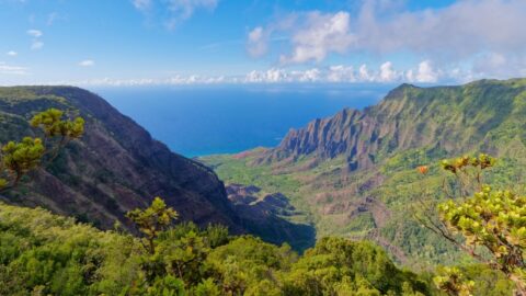 An aerial shot of Kauai