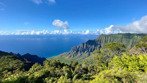 A view of the ocean from the Awaawapuhi Trail.