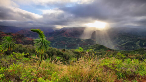 Lush vegetation and a mountain view with the sun poking out from the clouds on the Kukui Trail on Maui